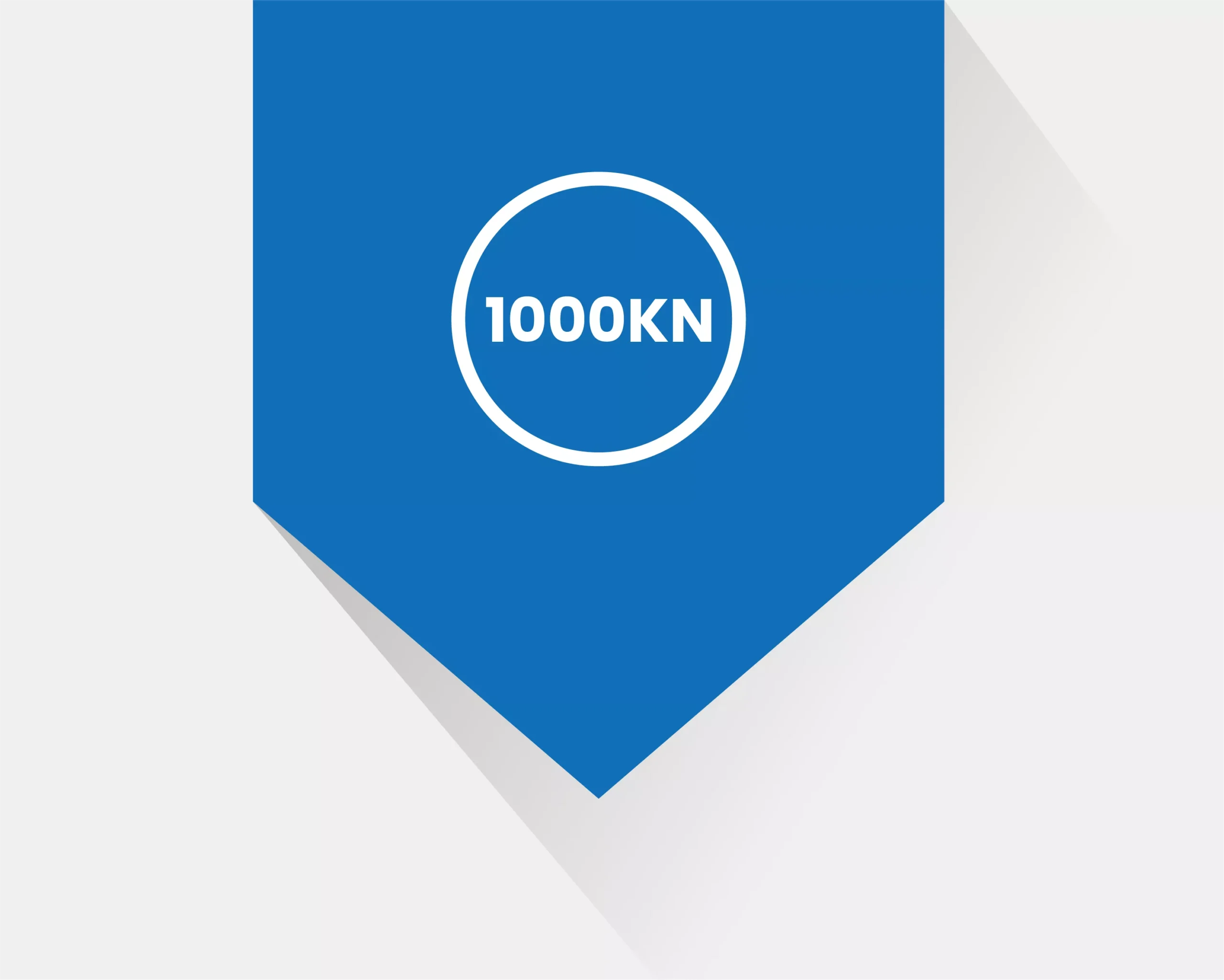1000 kN